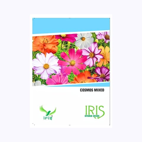 Iris Cosmos Mixed Flower Seeds