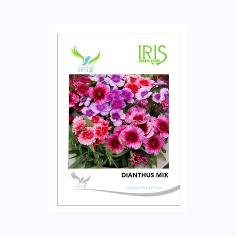 Iris Dianthus Mix Flower Seeds