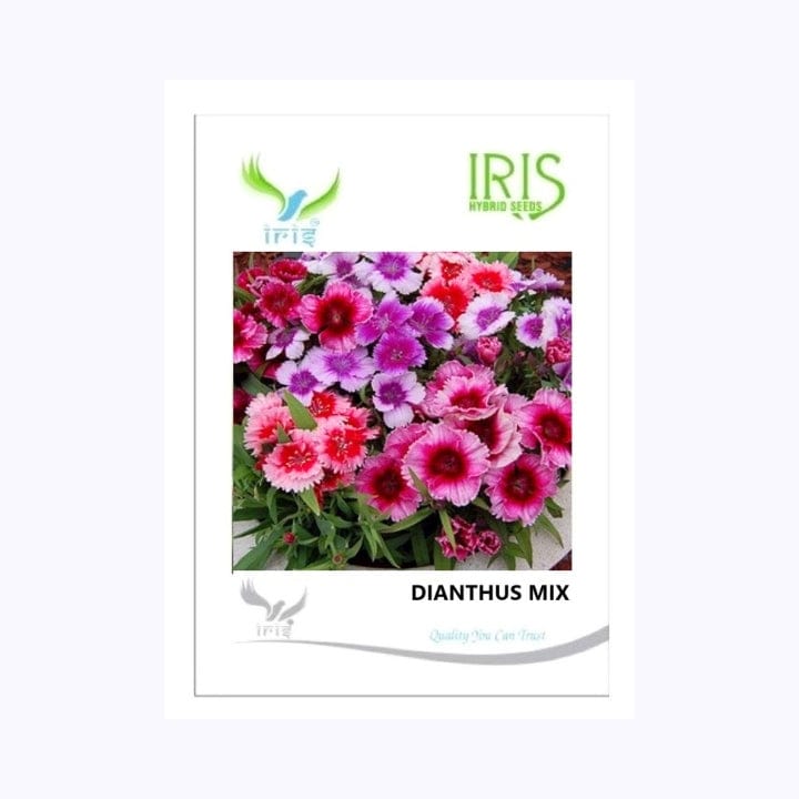 Iris Dianthus Mix Flower Seeds