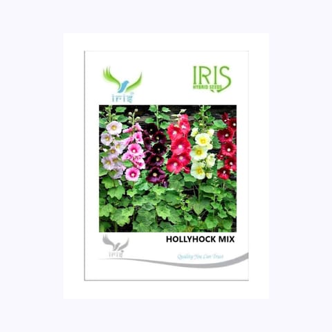 Iris Hollyhock Mix Flower Seeds