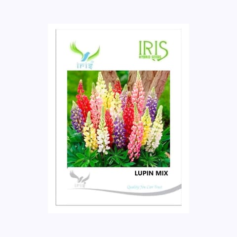 Iris Lupin Mix Flower Seeds