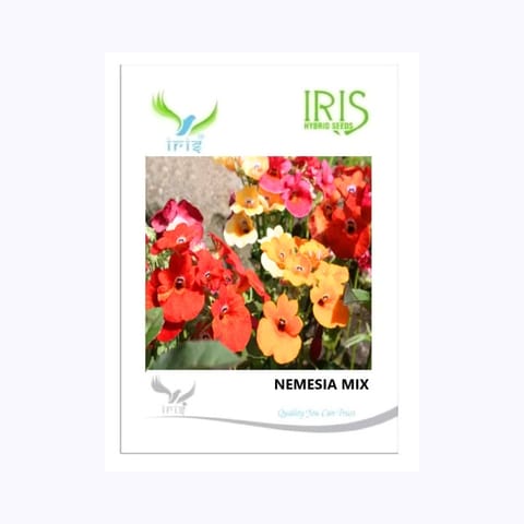 आइरिस नेमेसिया मिक्स फूल के बीज