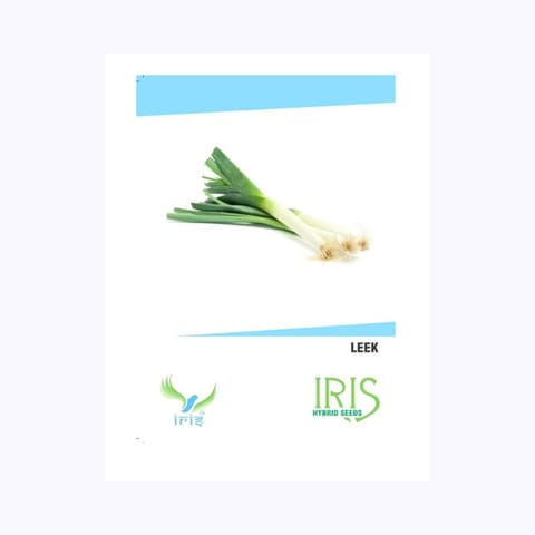 Iris Leek (हरा प्याज) Seeds