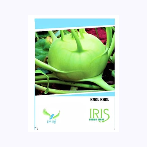 Iris Knol Khol (गोभी) Seeds