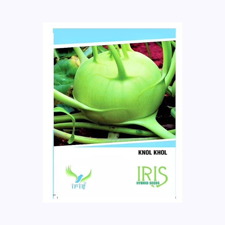 Iris Knol Khol (गोभी) Seeds