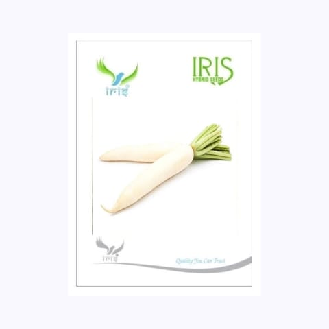 Iris Radish Seeds