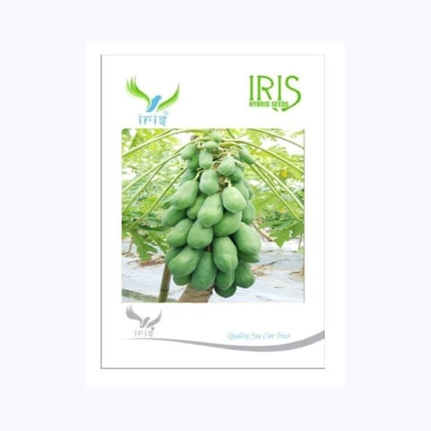 Iris Papaya Seeds