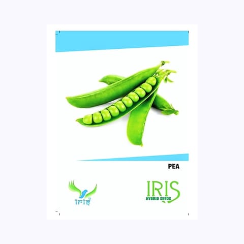 Iris Pea Seeds