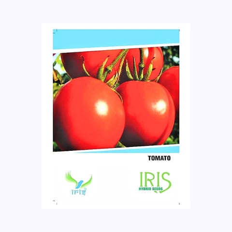 Iris Tomato Seeds