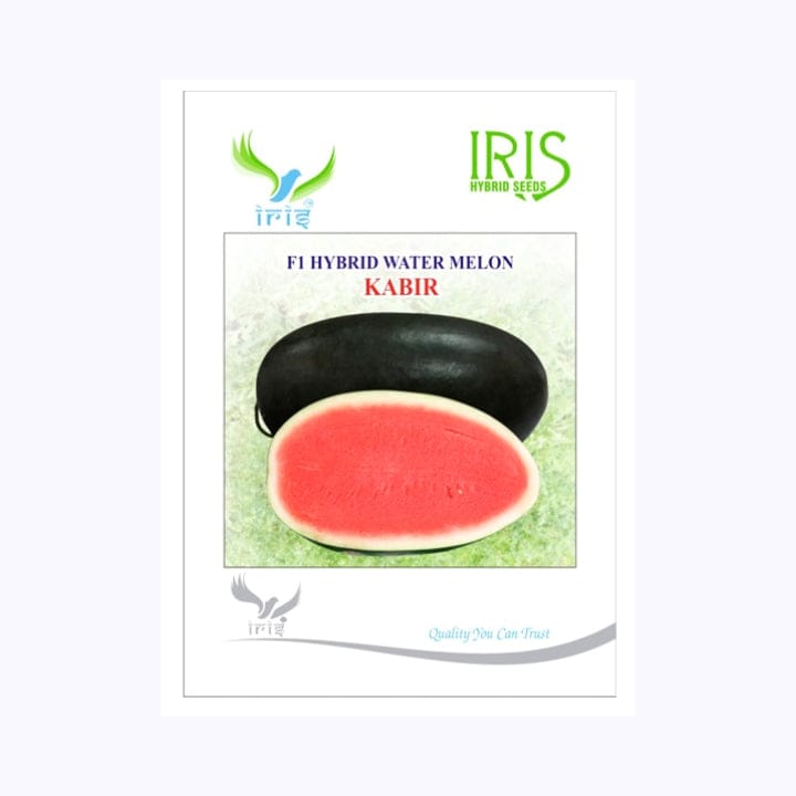 Iris Kabir Watermelon Seeds