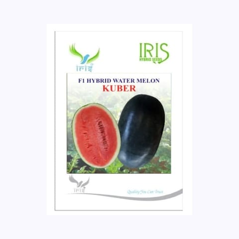 Iris Kuber Watermelon Seeds