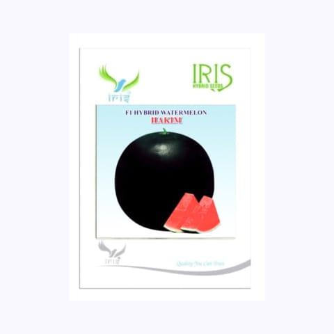 Iris Hakim Watermelon Seeds