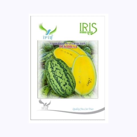Iris Pukhraj Watermelon Seeds