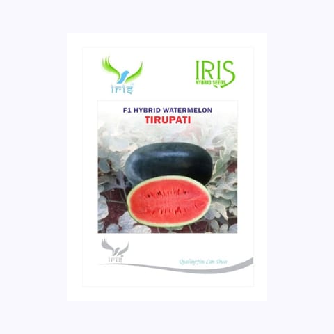 Iris Tirupati Watermelon Seeds
