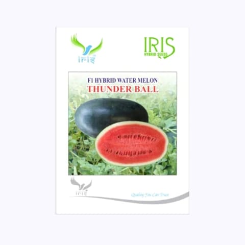 Iris Thunderball Watermelon Seeds