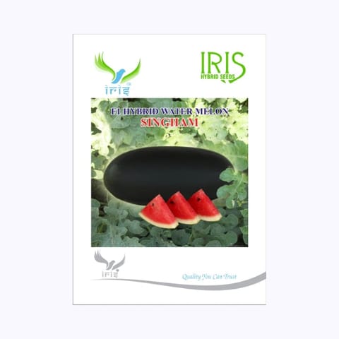 Iris Singham Watermelon Seeds