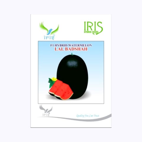Iris Lal Badshah Watermelon Seeds