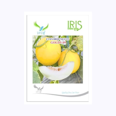 Iris Goldy-09 Musk Melon Seeds