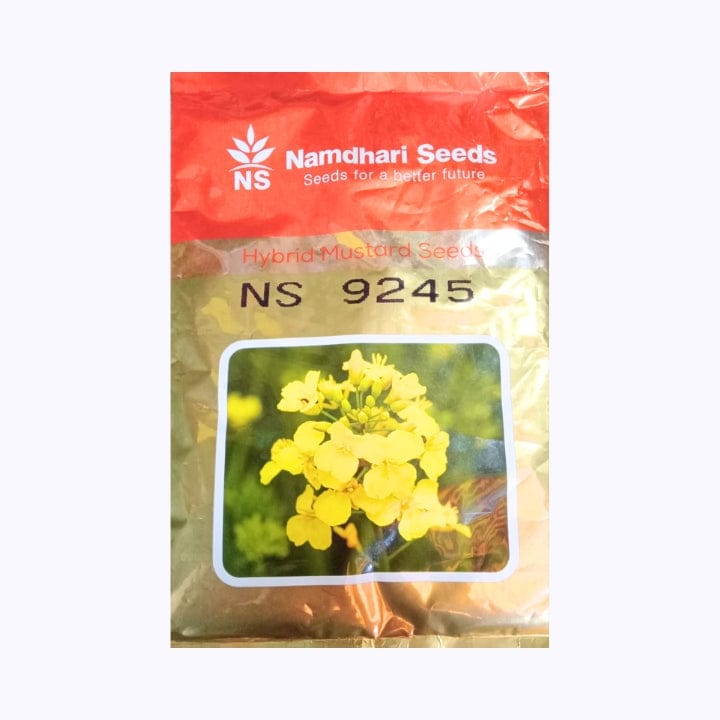 Namdhari NS 9245 Mustard Seeds