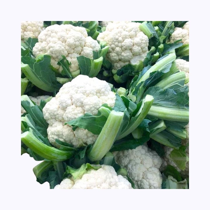 Golden Hills First Yearly Cauliflower Seeds