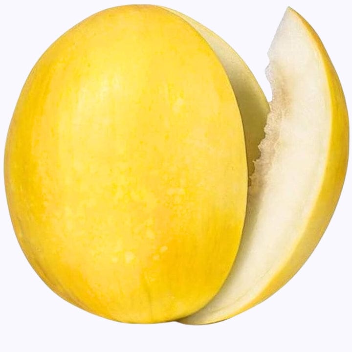 Golden Hills Yellow Muskmelon Seeds