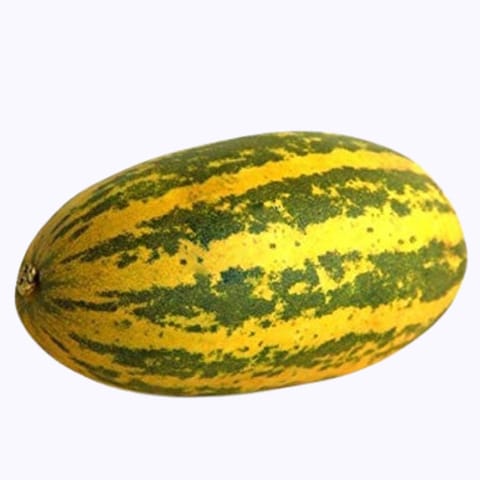 Golden Hills Sambar Yellow Cucumber Seeds