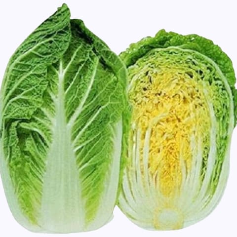 Golden Hills Chinese Cabbage Seeds