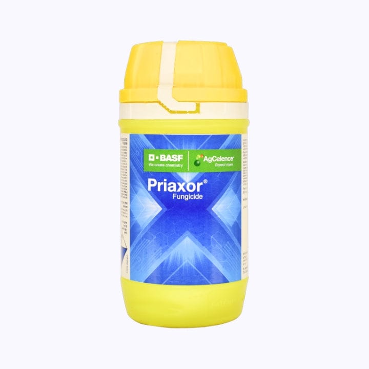 BASF Priaxor Fungicide