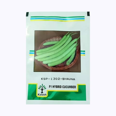 Kalash KSP-1302-Bhavna Cucumber (Kakri) Seeds