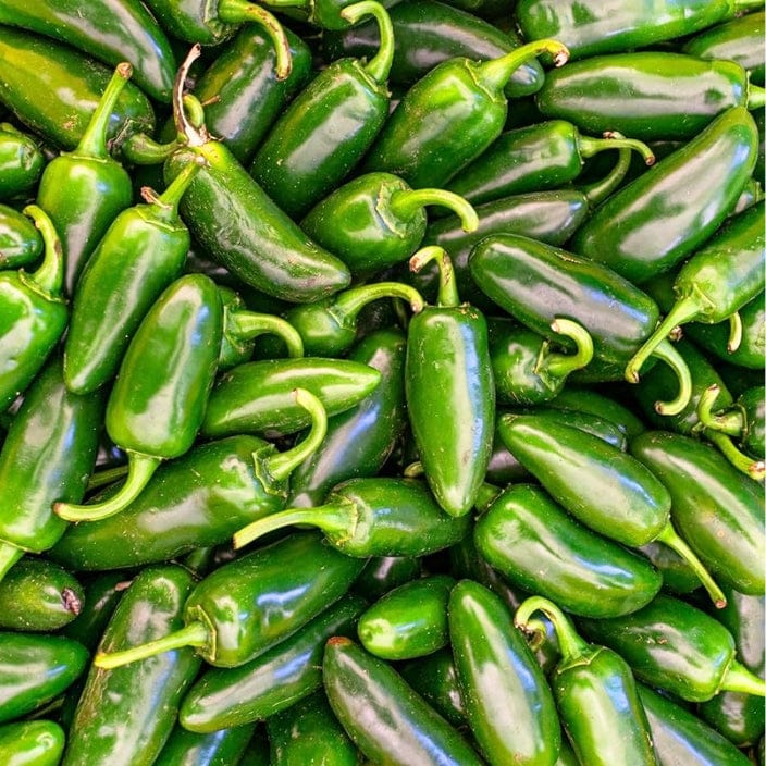 Golden Hills Jalapeno Early Hot Pepper (Chilli) Seeds