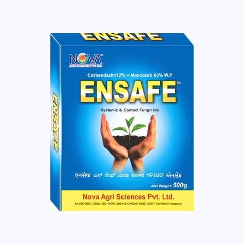 Nova Ensafe Fungicide - Carbendazim 12% + Mancozeb 63% WP