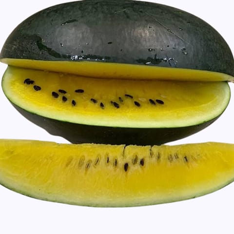 Golden Hills Yellow Angel Watermelon Seeds