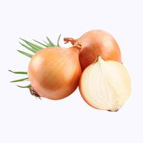 Golden Hills Yellow Onion Seeds