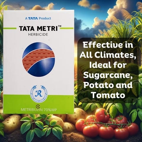 Rallis Tata Metri Herbicide - Metribuzin 70% WP