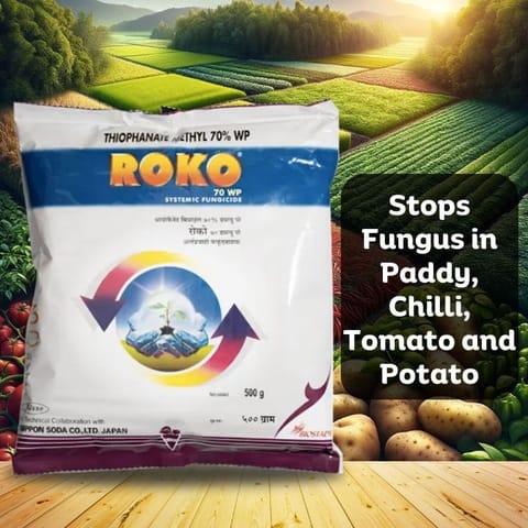 Biostadt Roko Fungicide - Thiophanate methyl 70 % WP