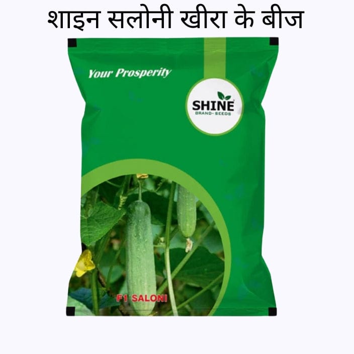 Shine Saloni Cucumber Seeds