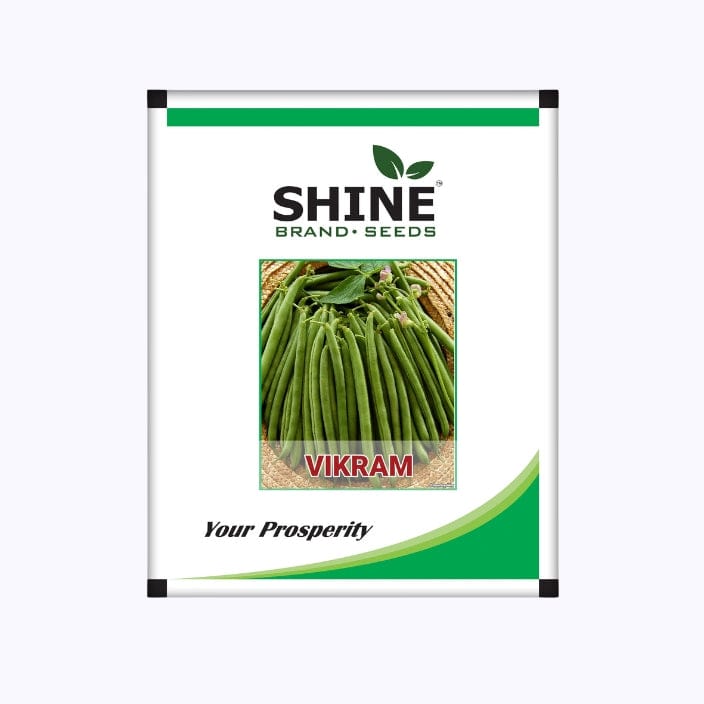 Shine Vikram Beans Seeds