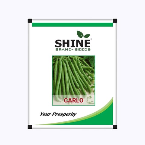 Shine Carlo Beans Seeds