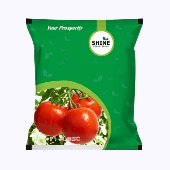 Shine Jumbo Tomato Seeds