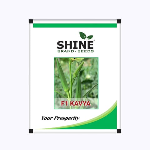 Shine Kavya Bhendi (Okra) Seeds