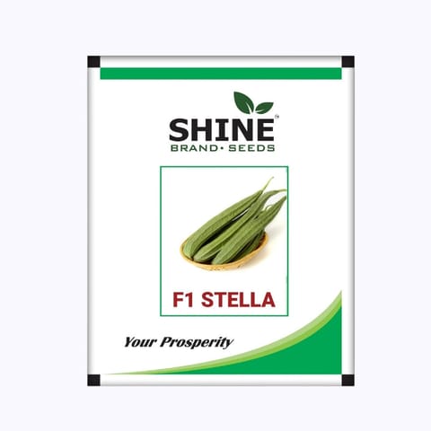 Shine Stella Ridge Gourd Seeds