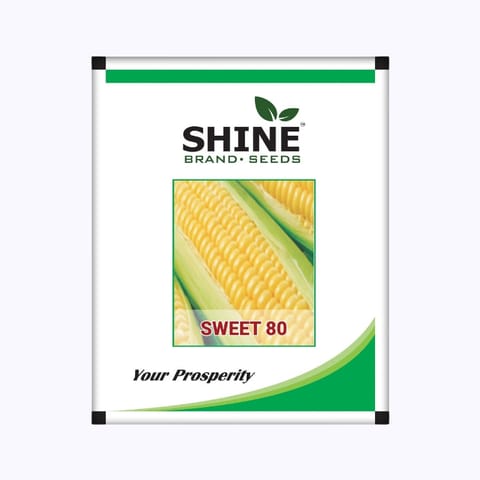 Shine Sweet 80 Sweet Corn Seeds