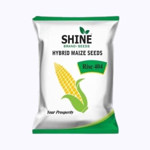 Shine Rise 404 Maize Seeds