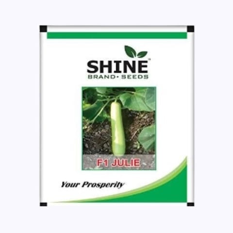 Shine Julie Bottle Gourd Seeds