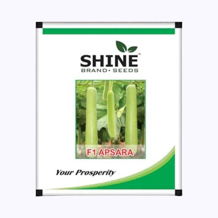 Shine Apsara Bottle Gourd Seeds