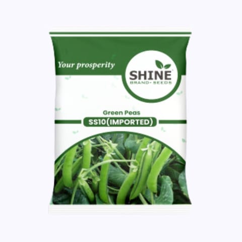 Shine SS 10 (Imported) Pea Seeds