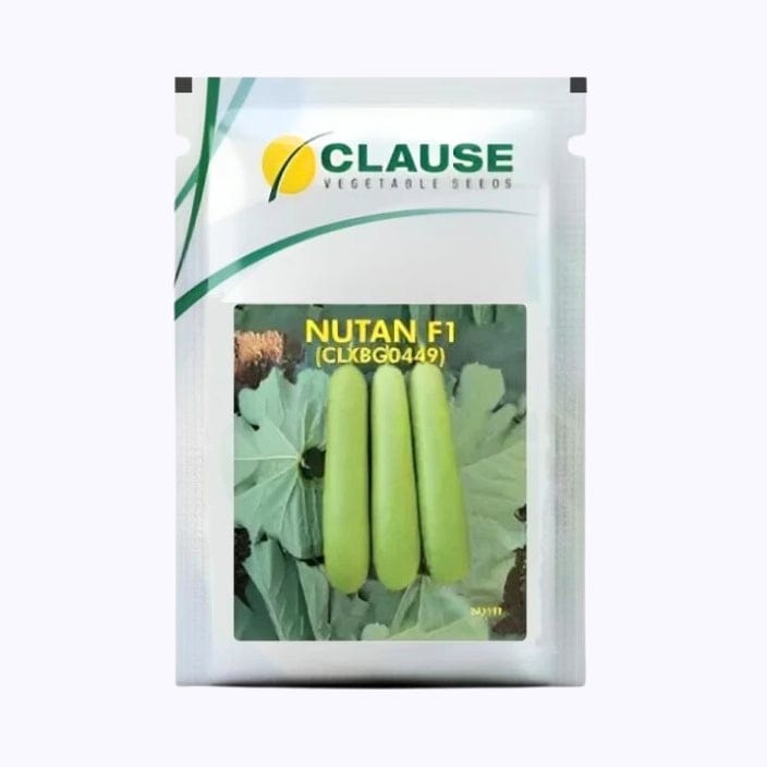 Clause Nutan Bottle Gourd Seeds