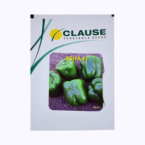 Clause Asha Capsicum Seeds
