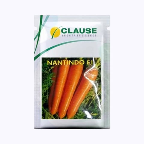 क्लॉज़ नैनटिंडो गाजर के बीज