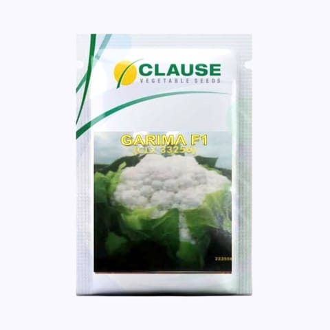 Clause Garima Cauliflower Seeds